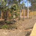 30 Lucinda Road, Logan Village, QLD 4207 AUS