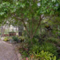 3 Hoopla Hannah Court, Yatala, QLD 4207 AUS