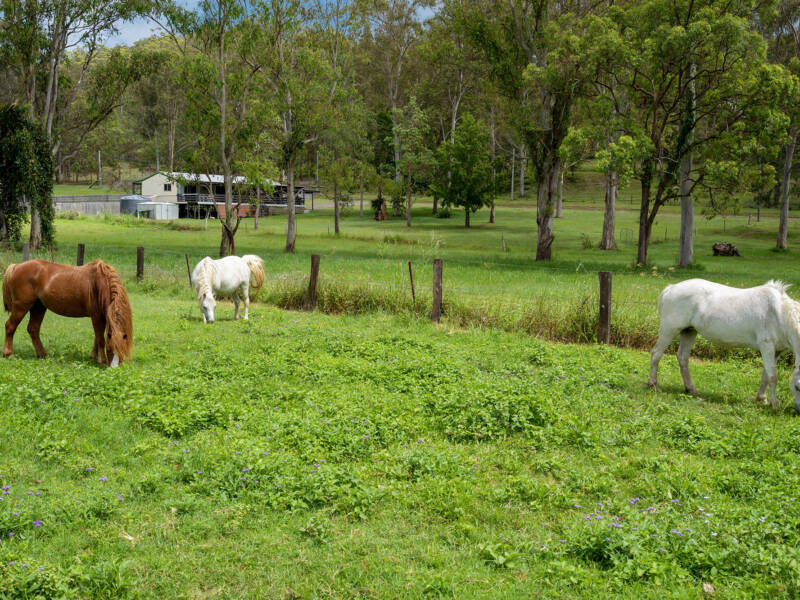 1721-1727 Waterford Tamborine Road, Logan Village, QLD 4207 AUS
