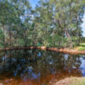 494 Stockleigh Road, Stockleigh, QLD 4280 AUS