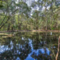 494 Stockleigh Road, Stockleigh, QLD 4280 AUS