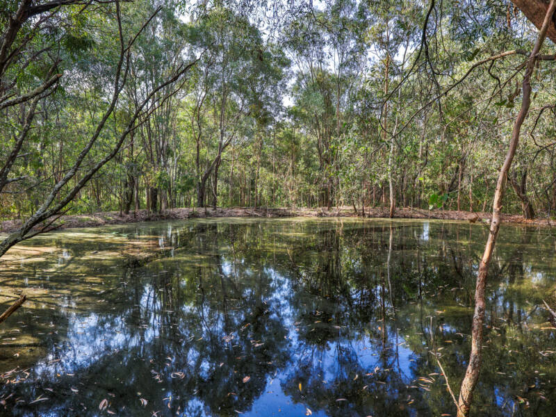 494 Stockleigh Road, Stockleigh, QLD 4280 AUS