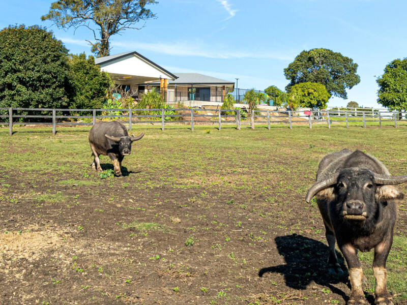 646 Kerry Road, Kerry, QLD 4285 AUS
