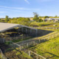646 Kerry Road, Kerry, QLD 4285 AUS