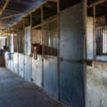 646 Kerry Road, Kerry, QLD 4285 AUS