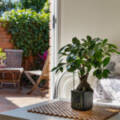 9 Weymouth Street, Mount Warren Park, QLD 4207 AUS