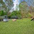 52-54 Campbell Drive, Kooralbyn, QLD 4285 AUS