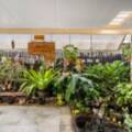 1/21 Sueinnes Street, Eagleby, QLD 4209 AUS