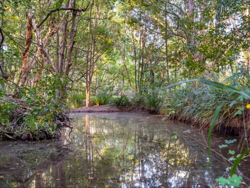 30 Carol Street, Bahrs Scrub, QLD 4207 AUS